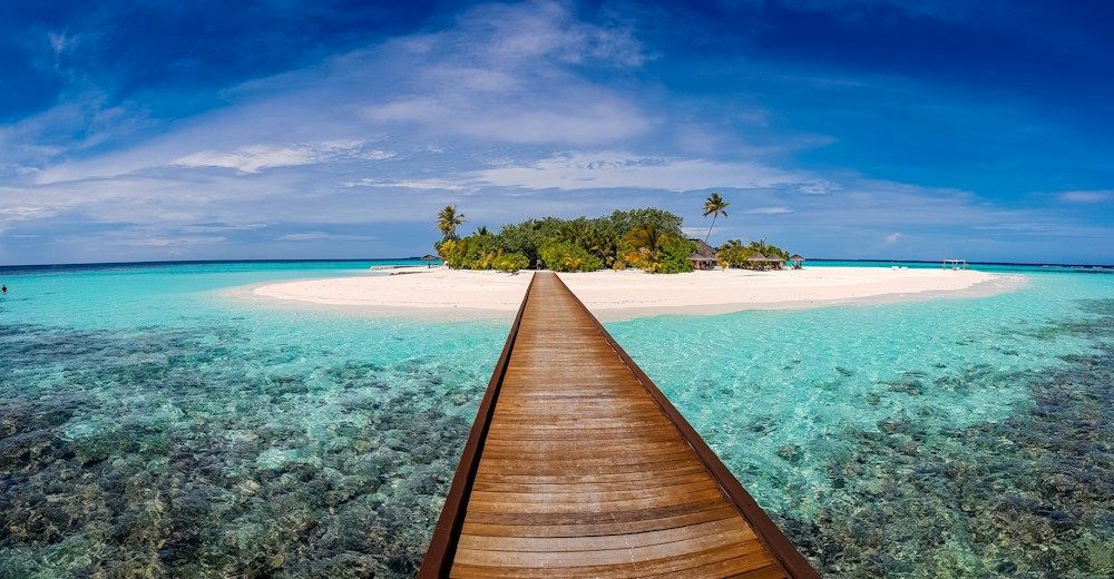 A wooden jetty leading to a palm-lined Maldives island
